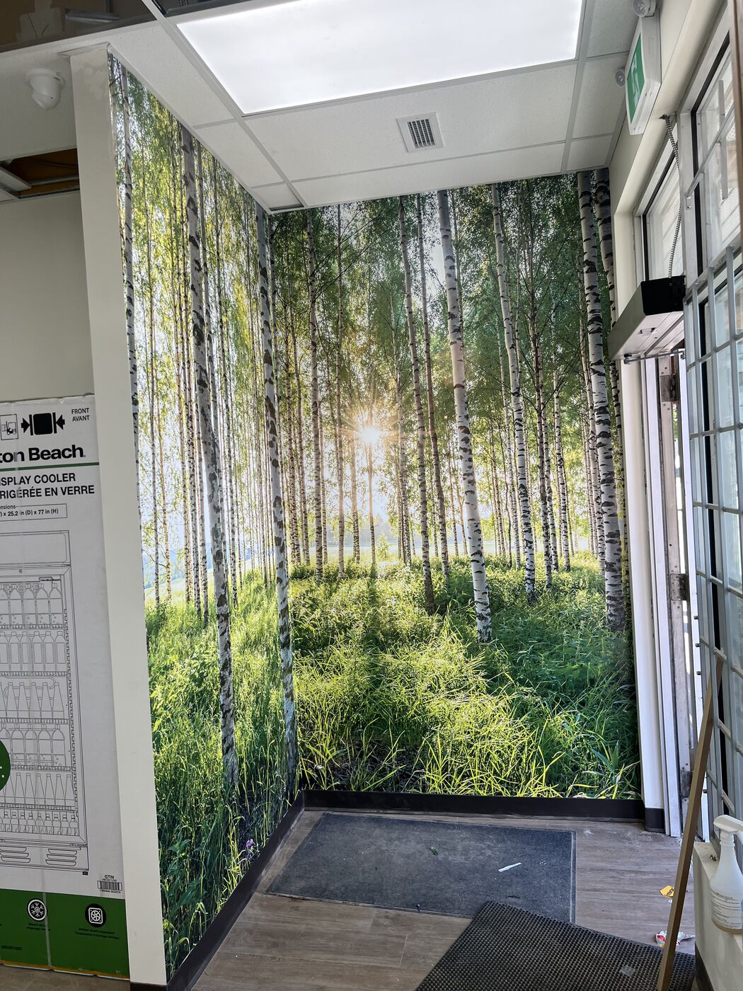 Full-wall printed forest mural installed inside a store — Action Signs & Graphics